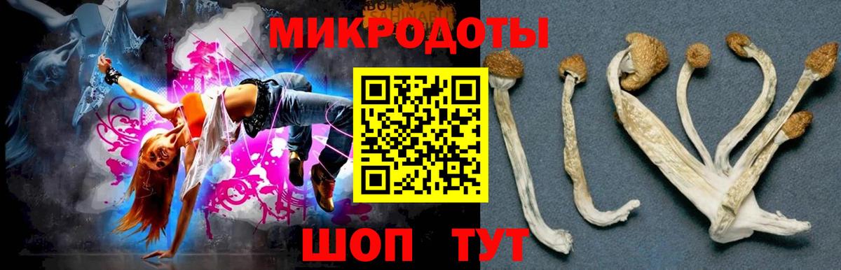 Галлюциногенные грибы Magic Shrooms Кисловодск